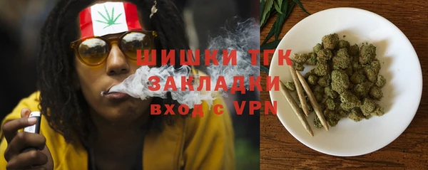 PSILOCYBIN Елизово