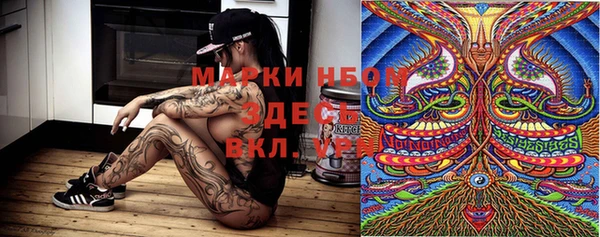 PSILOCYBIN Елизово