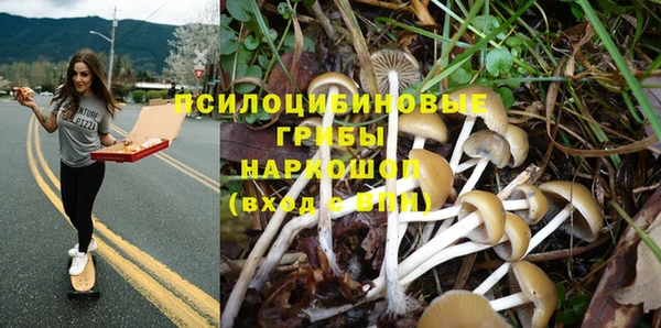 PSILOCYBIN Елизово