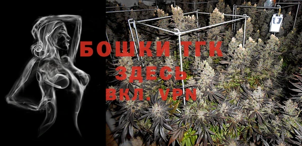 PSILOCYBIN Елизово